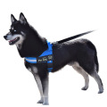 Тедди собака поводка собаки веревой веревки и отражающий средний большой собака золотисто-ретривер Labrador Vest